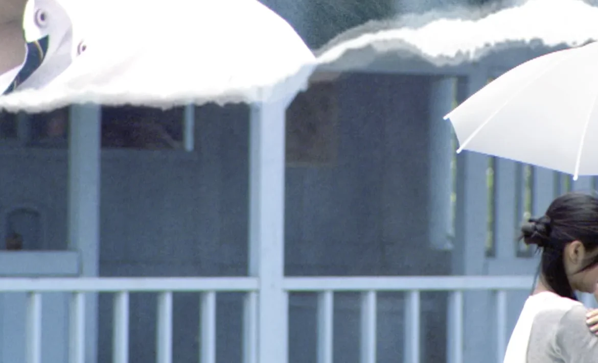 Autumn's Concerto (1)