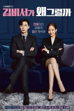 What's Wrong with Secretary Kim assistir
