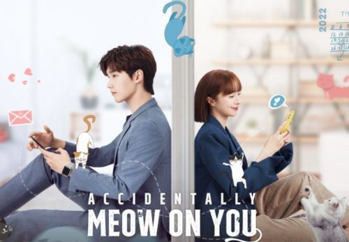 Accidentally Meow On You drama