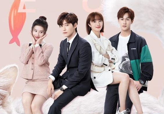 Acidentalmente Miau Por Você