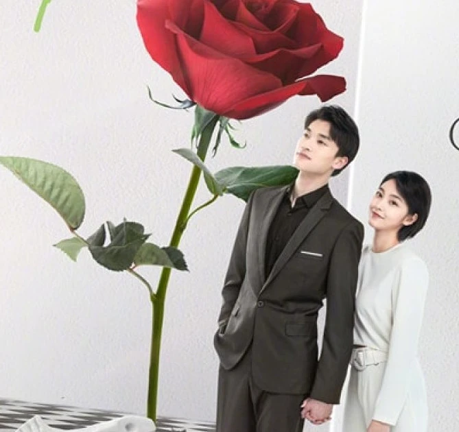 Knight-of-the-Rose-2